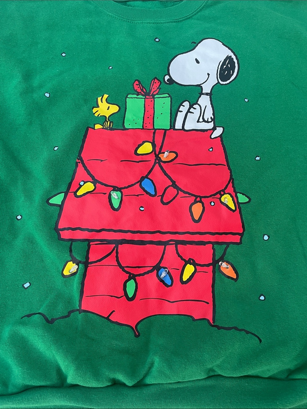 Peanuts Green Sweatshirt with Red Doghouse & Snoopy Graphic
